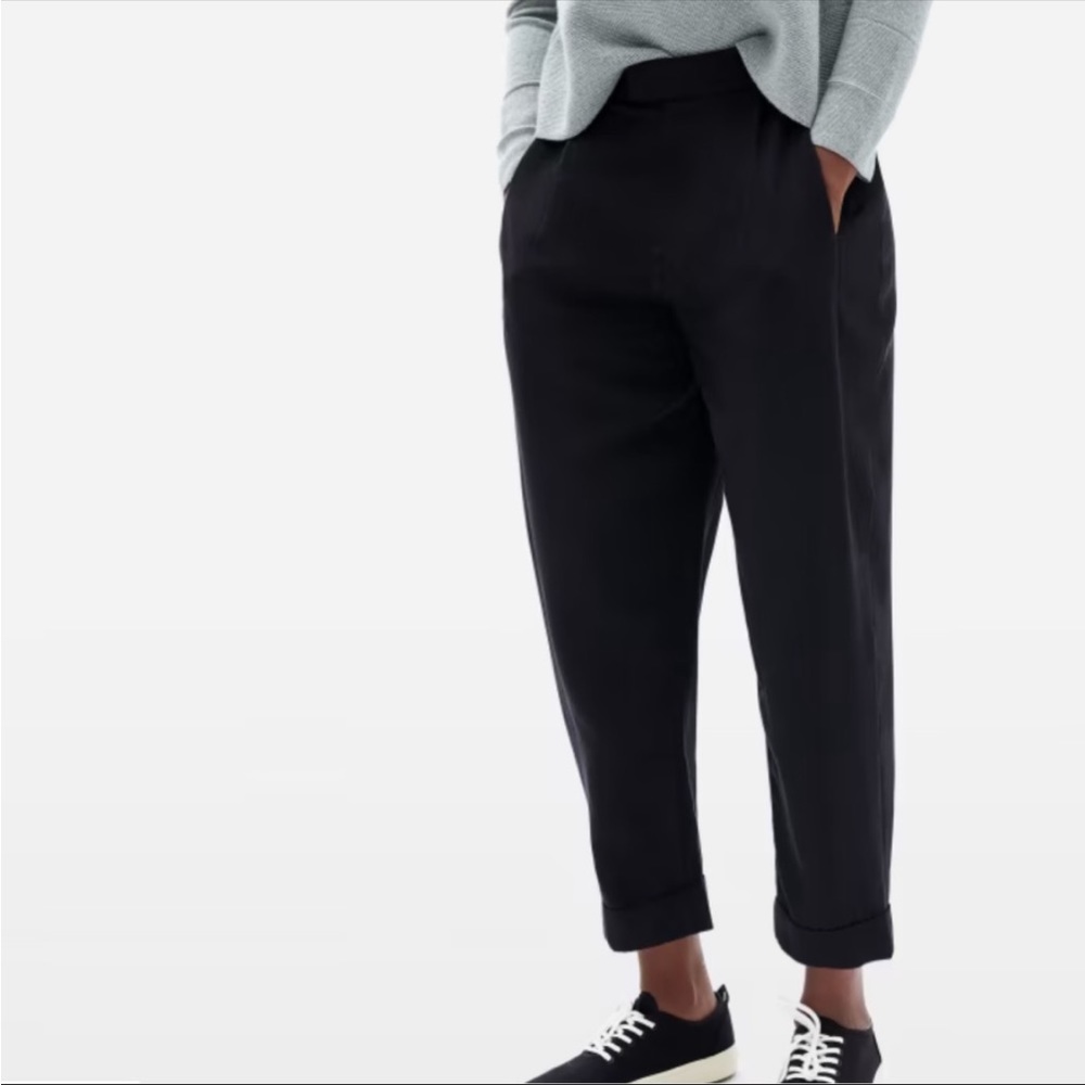 Everlane The Put-Together Pleat Pant
